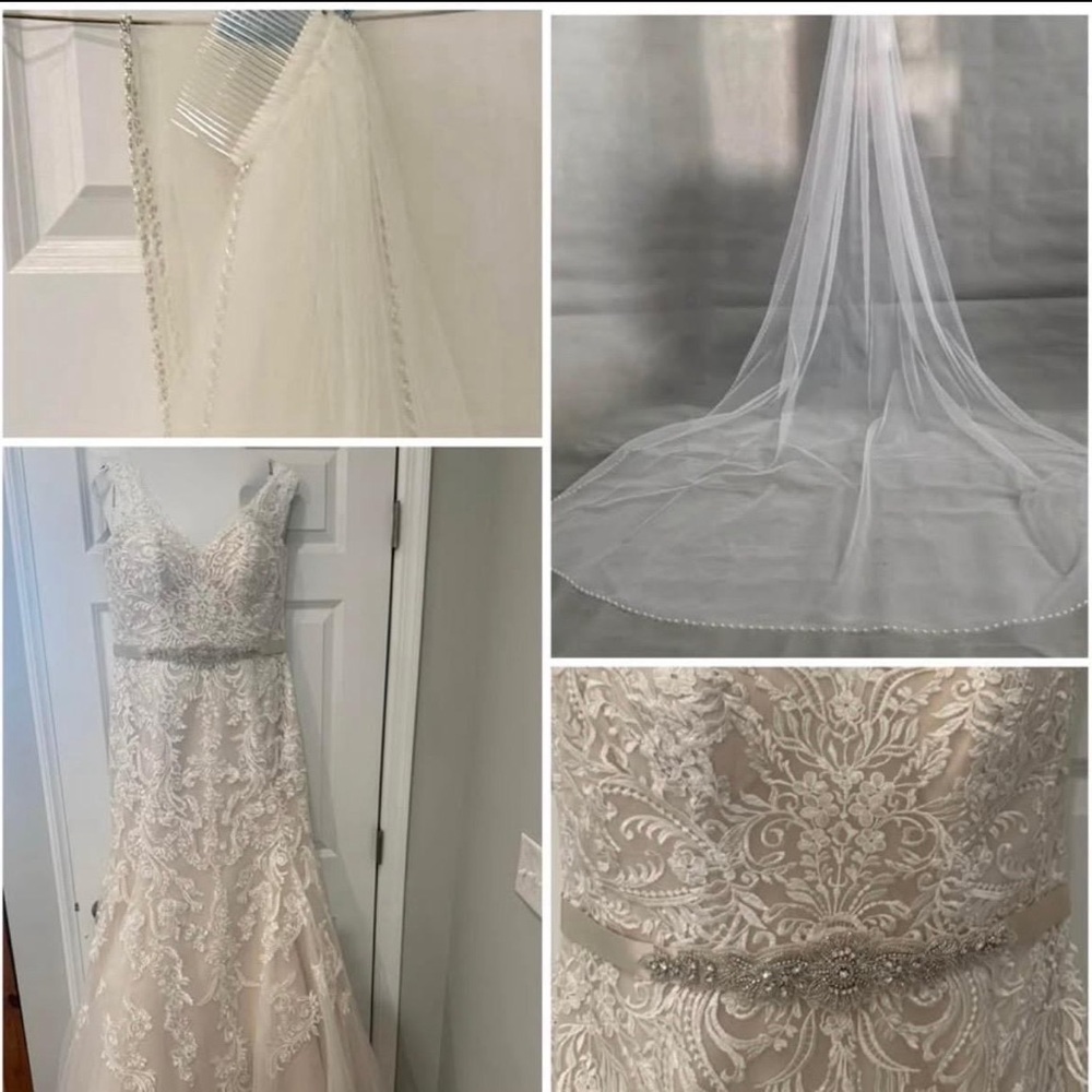Maggie Sottero wedding dress and veil NWOT